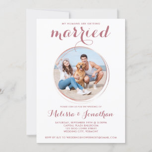 Invitación Rosa moderno Personalizado de oro Mascota de fotog