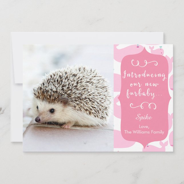 Invitación rosa nueva de Furbaby (Anverso)