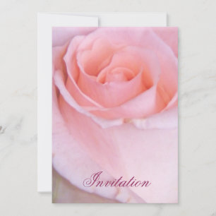 Invitación Rosa rosa_