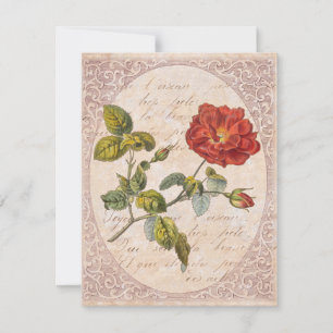 Invitación Rosa Vintage Fiesta del Jardín Botánico de Cumplea