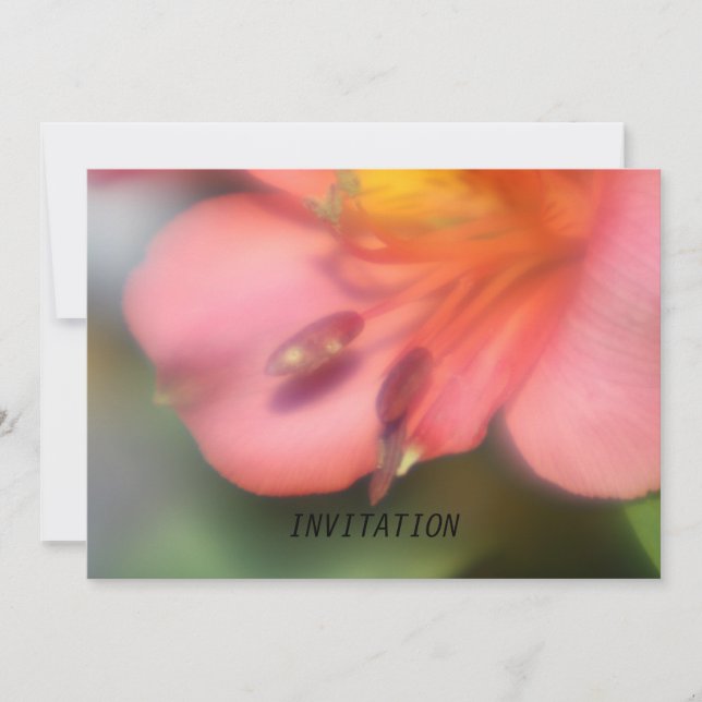 INVITACIÓN rosada hermosa de la flor del (Anverso)