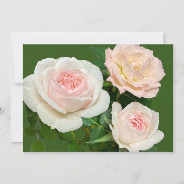 Invitación Rosas blancas románticas (Anverso)