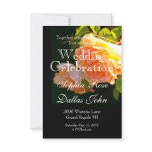 Rosas de Country Peach