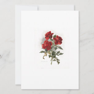 Invitación Rosas romanos rojos