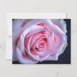 Invitación Rosas rosadas y verdes