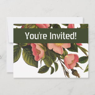 Invitación Rosas Vintage Hermosas Rosas Botánicas Rosadas