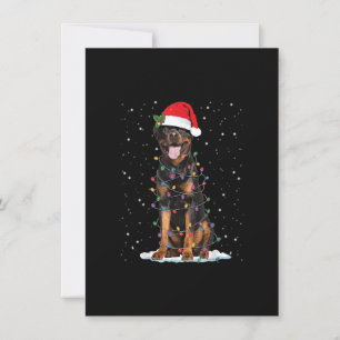 Invitación Rottweiler Christmas Lights Santa Hat Funny Dog Da