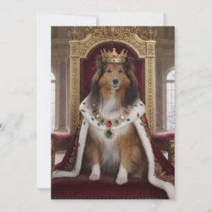 Invitación Royal Sheltie