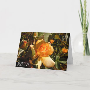 INVITACIÓN RSVP