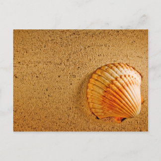 Invitación RSVP Tropical de Boda de Playa