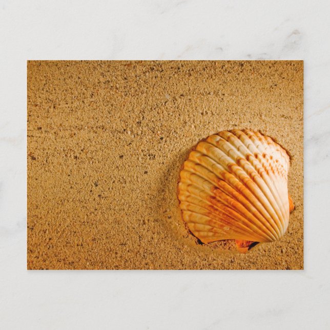 Invitación RSVP Tropical de Boda de Playa (Anverso)