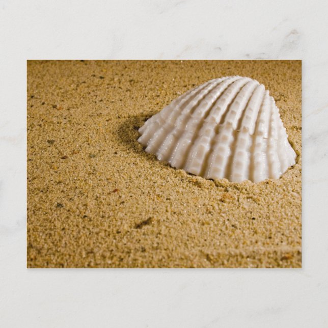 Invitación RSVP Tropical de Boda de Playa (Anverso)