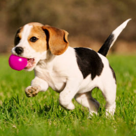 Invitación rthrdhtr