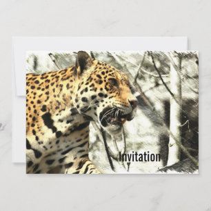 Invitación safari de vida salvaje de África Leopardo salvaje