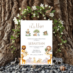 Invitación Safari Spanish Baby Shower Boy invitation