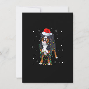 Invitación Santa Bernese Mountain Dog Xmas Tree Light Merry C