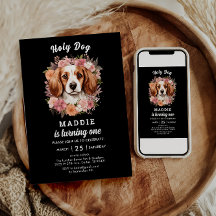 ¡Santo Perro, soy uno! Chica de perro 1 cumpleaños