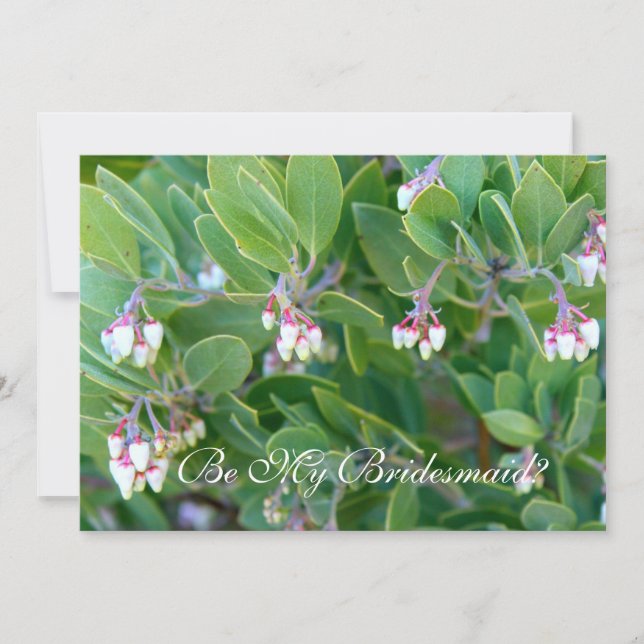 Invitación Sé mi dama de honor manzanita floms (Anverso)
