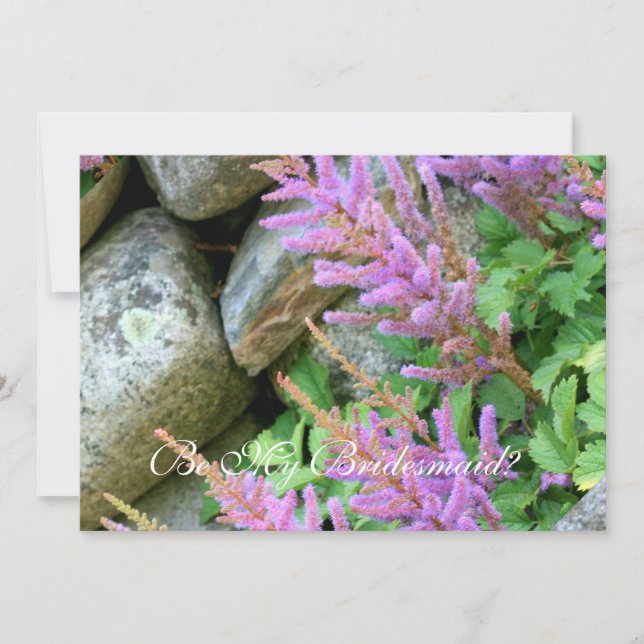 Invitación Sé mi novia astilbe flores (Anverso)