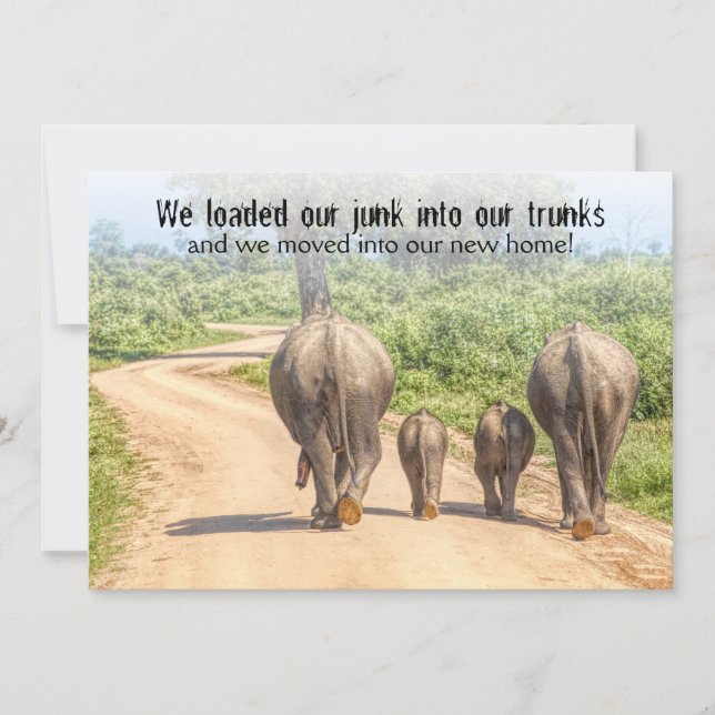 Invitación Se mudaron divertidos elefantes caseros (Anverso)