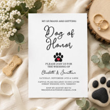 Sencilla Boda de Mascotas para Amantes de Perros c