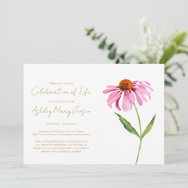 Invitación Sencilla Celebración de la Vida de Echinacea Funer (Anverso de pie)