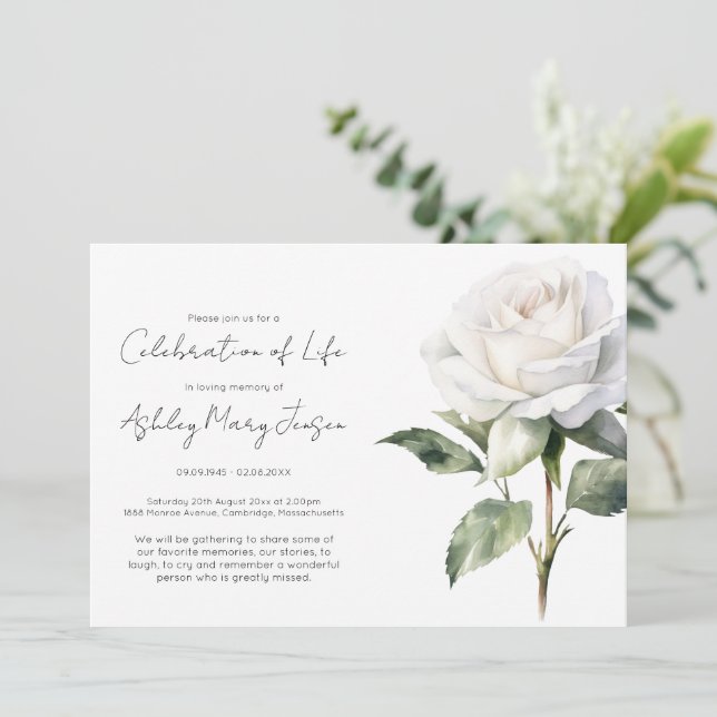 Invitación Sencilla Celebración de Vida de Rosa Blanca Funera (Anverso de pie)