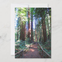 Sendero de Redwood Norte de California