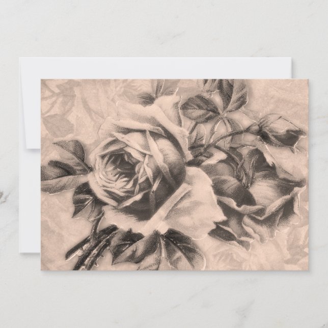 Invitación Sepia, Rosas de cosecha de 5 x 7 (Anverso)