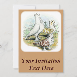Invitación Seraphim Pigeons