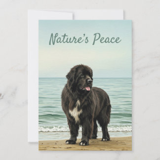 Invitación Serenidad junto al mar – Naturaleza del perro de T