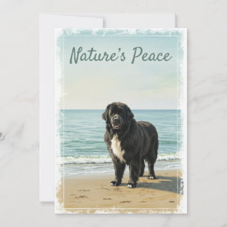 Invitación Serenidad junto al mar – Naturaleza del perro de T