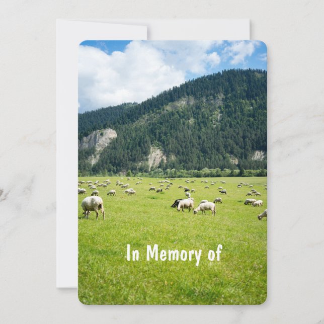 Invitación Servicio conmemorativo invita a agricultor de ovej (Anverso)