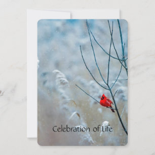 Invitación Servicio conmemorativo invita al cardenal Red Bird