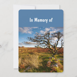 Invitación Servicio en memoria invita al hermoso desierto de