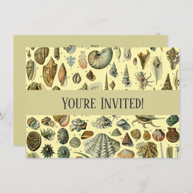 Invitación Shell de conchas marinas Mollusk Clam Elegante Art (Anverso / Reverso)