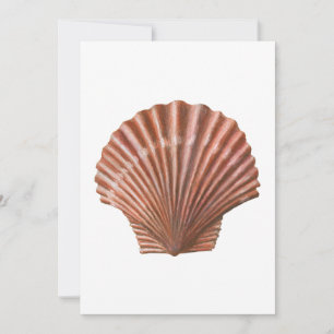 Invitación Shell de vieira