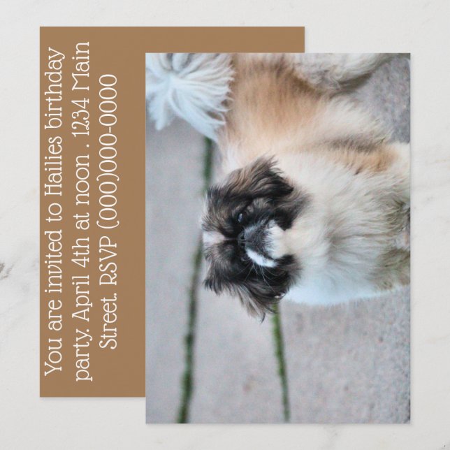 Invitación Shih Tzu (Anverso / Reverso)