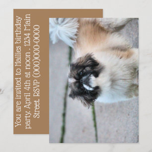 Invitación Shih Tzu