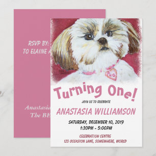 Invitación Shih Tzu de un año de edad