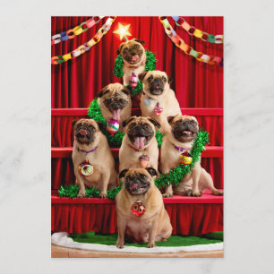 Invitación Siete pugs-a-Posing
