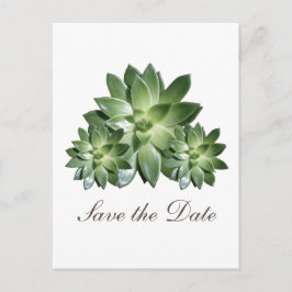 Invitación Simple de Suculentas para Guardar la Fe