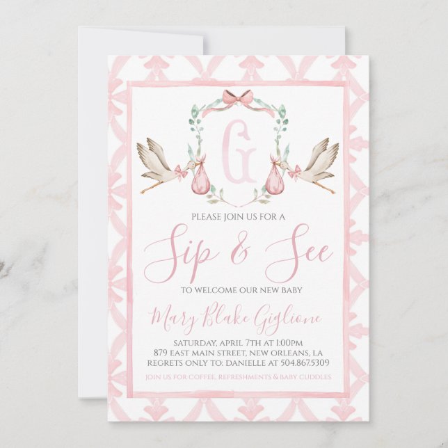 Invitación Sip and See Baby Girl Watercolor Stork (Anverso)