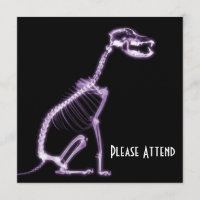 SITIO DE ESQUELETON DE PERRO DE RAYO X - PURPLE