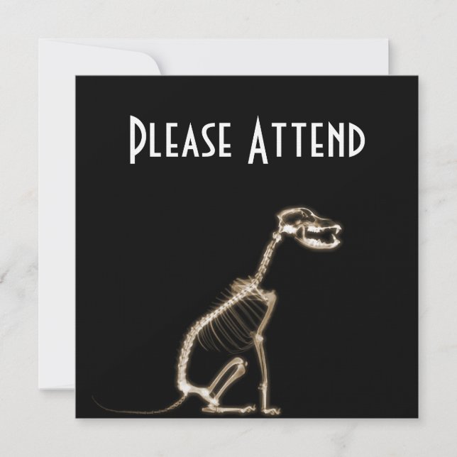 INVITACIÓN SITUACIÓN DEL ESQUELETÓN DE PERRO DE RAYO X - SEPI (Anverso)