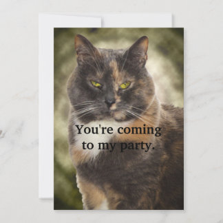 Invitación Smug Kitty - ¿Quieres Lo Que Quieres?