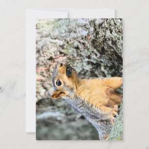 Invitación Snacker de Cicada