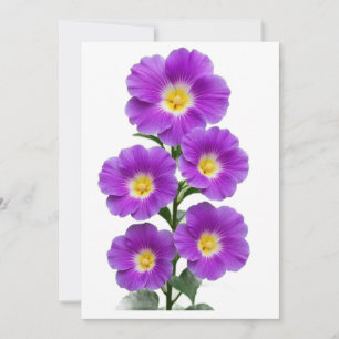 Invitación Sobres Blancos en Blanco
