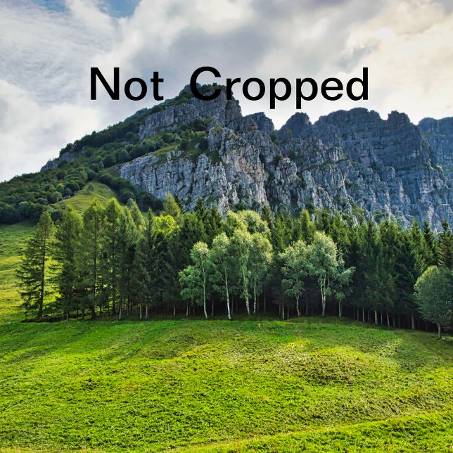 Invitación soltera (Subido por el creador)