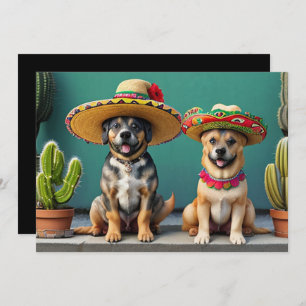 Invitación sombreros perros